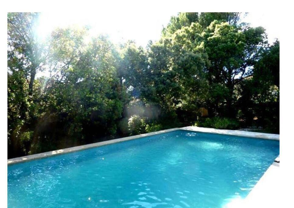 Studio En Rez-De-Jardin Arbore Avec Acces Piscine Et Clim Villeneuve-lès-Avignon Zewnętrze zdjęcie